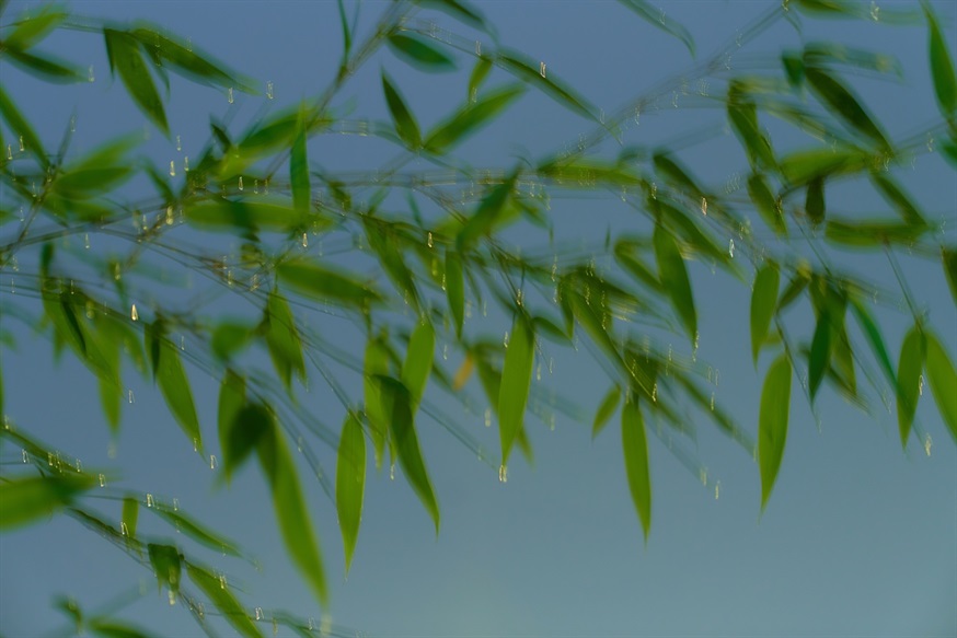 夜醉春风的远方023