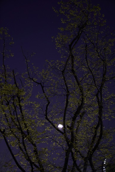 夜醉春风的远方017
