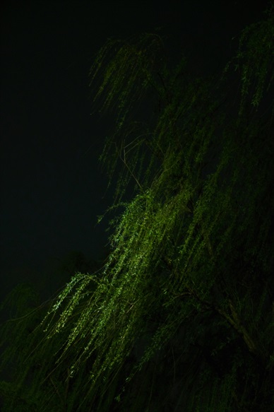 夜醉春风的远方006