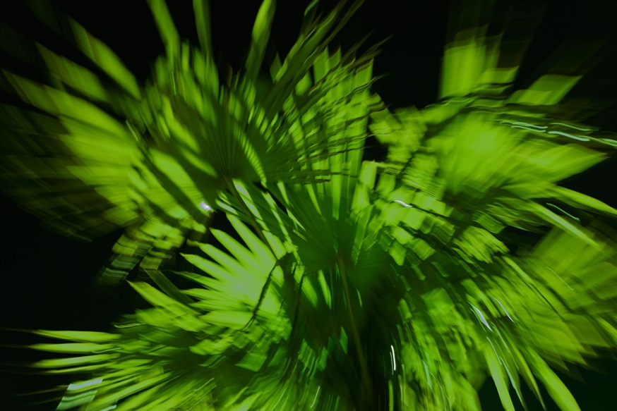 夜醉春风的远方005