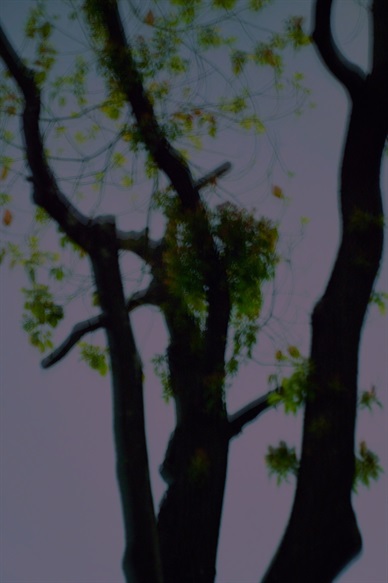 夜醉春风的远方001