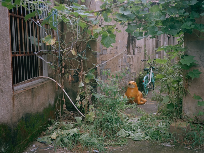 路