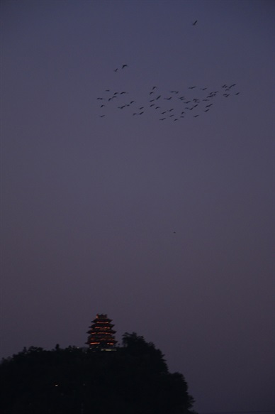 沉醉一响 |中国丽水  Lishui, China